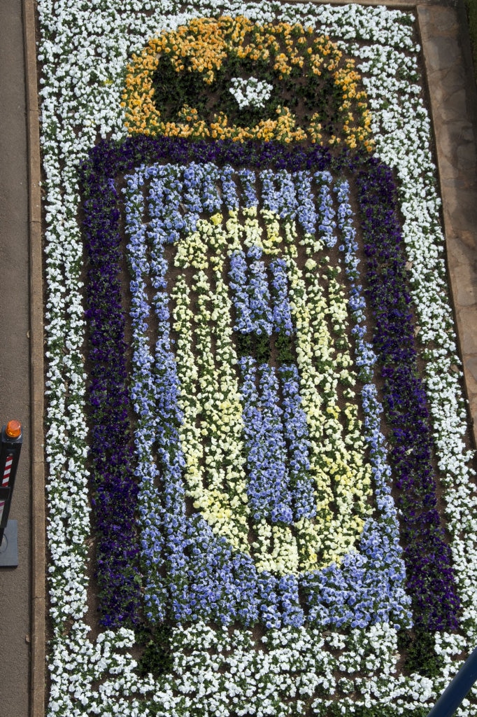 Laurel Bank Park, Carnival of Flowers 2016. Picture: Bev Lacey