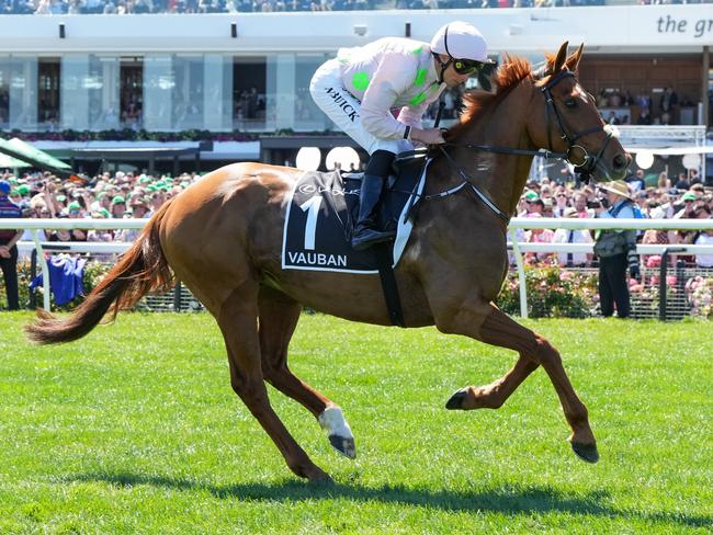 Vauban (FR) ridden by William Buick on the way to the barriers prior to the running of  the Lexus Melbourne Cup at Flemington Racecourse on November 05, 2024 in Flemington, Australia. (Photo by George Sal/Racing Photos via Getty Images)