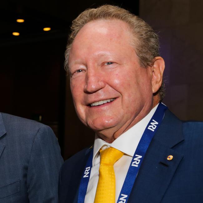 Executive Chairman and Founder of Fortescue Metal Group Andrew Forrest. Picture: NCA Newswire / Gaye Gerard