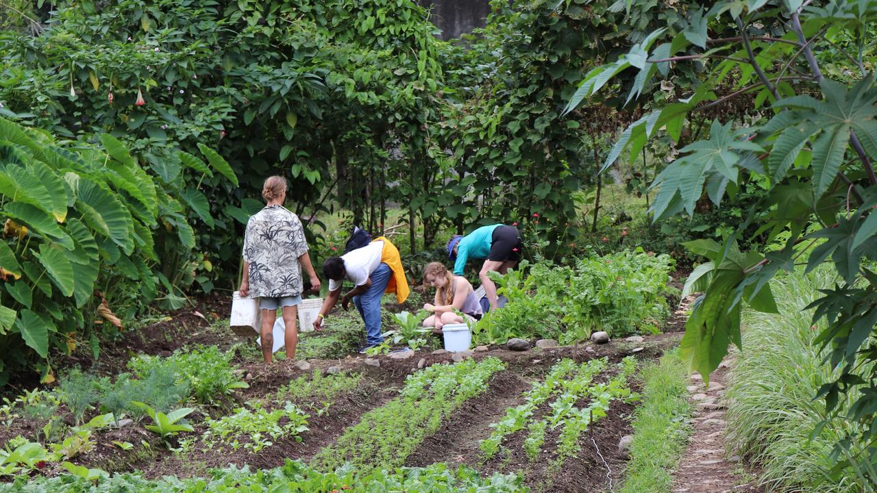 A Collette impact tour group volunteers at Rancho Margot in Costa Rica. Picture: Megan Palin