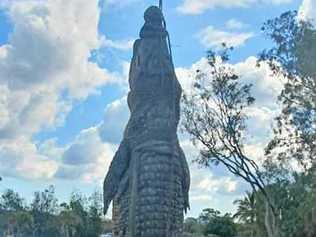 Koorana Crocodile Farm found an orthopedic plate in the contents of their croc MJ's stomach. Picture: Koorana Crocodile Farm