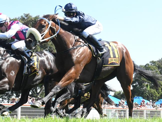 Expect the Peter Moody-trained Botany to hit the line hard again when she resumes at Cranbourne on Wednesday. Picture : Racing Photos via Getty Images.