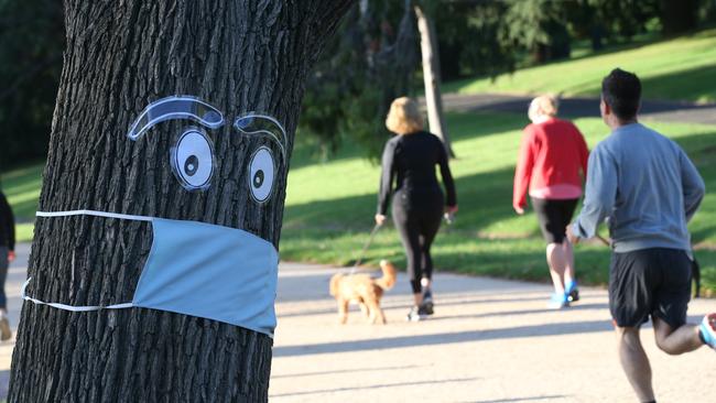 Trees around the Tan running track keep watch. Picture: David Crosling