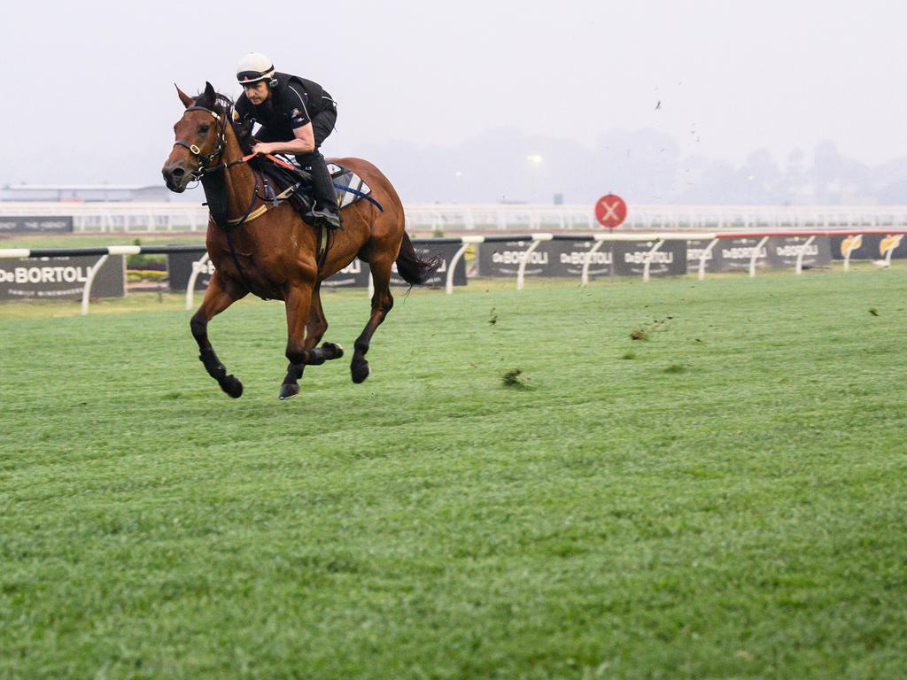 Chris Harwood riding Kolding. (AAP Image/James Gourley)