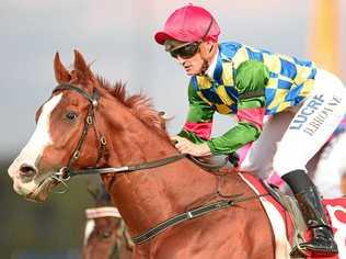 WINNER: Jockey Damian Browne rides Spur Le Jouer to win the Winter Provisional Sprinters Handicap. Picture: ALBERT PEREZ