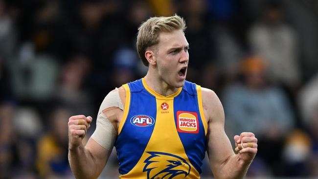 HOBART, AUSTRALIA - AUGUST 10: Oscar Allen of the Eagles celebrates a goal during the round 22 AFL match between North Melbourne Kangaroos and West Coast Eagles at Blundstone Arena, on August 10, 2024, in Hobart, Australia. (Photo by Steve Bell/Getty Images)