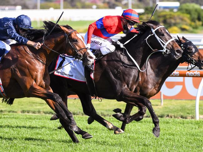 Verry Elleegant (NZ) ridden by Mark Zahra wins the Stella Artois Caulfield Cup at Caulfield Racecourse on October 17, 2020 in Caulfield, Australia. (Natasha Morello/Racing Photos via Getty Images)