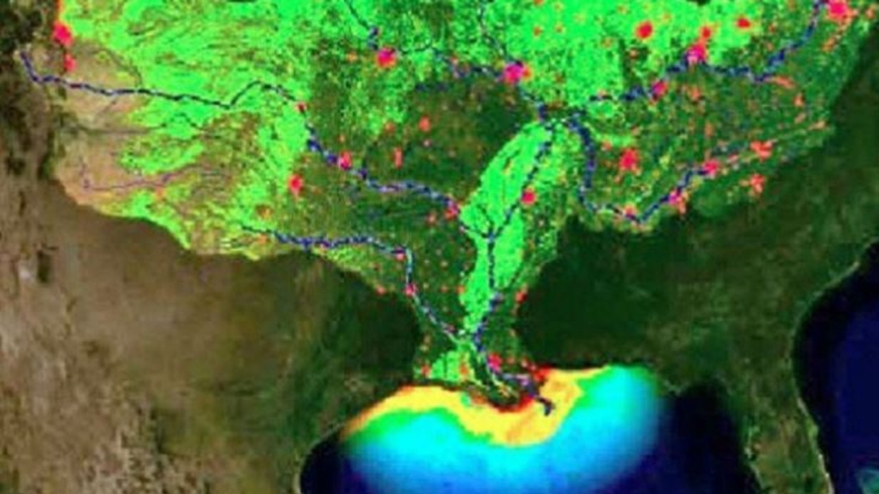 Dead zone Gulf of Mexico’s hypoxic zone predicted to span 20,000