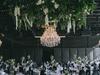 Wedding wiped out by gastro outbreak