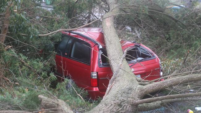 This car came off second best when it was hit by a falling tree in Mount Eliza. Picture: NCA NewsWire / David Crosling