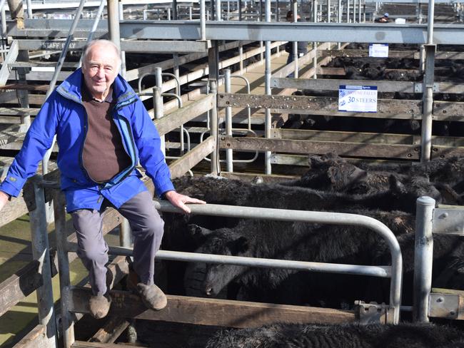 Tom Robertson of Moyne Fall near Hawkesdale sold his annual draft of spring drop Angus steers and heifers at the Warrnambool store cattle sale. They sold to a top price of $1060. Picture: Jamie-Lee Oldfield