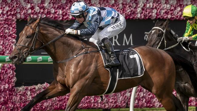 Boom Chicka Boom scored an impressive win at Eagle Farm on Saturday. Picture: AAP