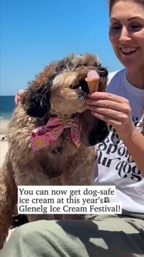 Glenelg Ice Cream Festival is here for dogs