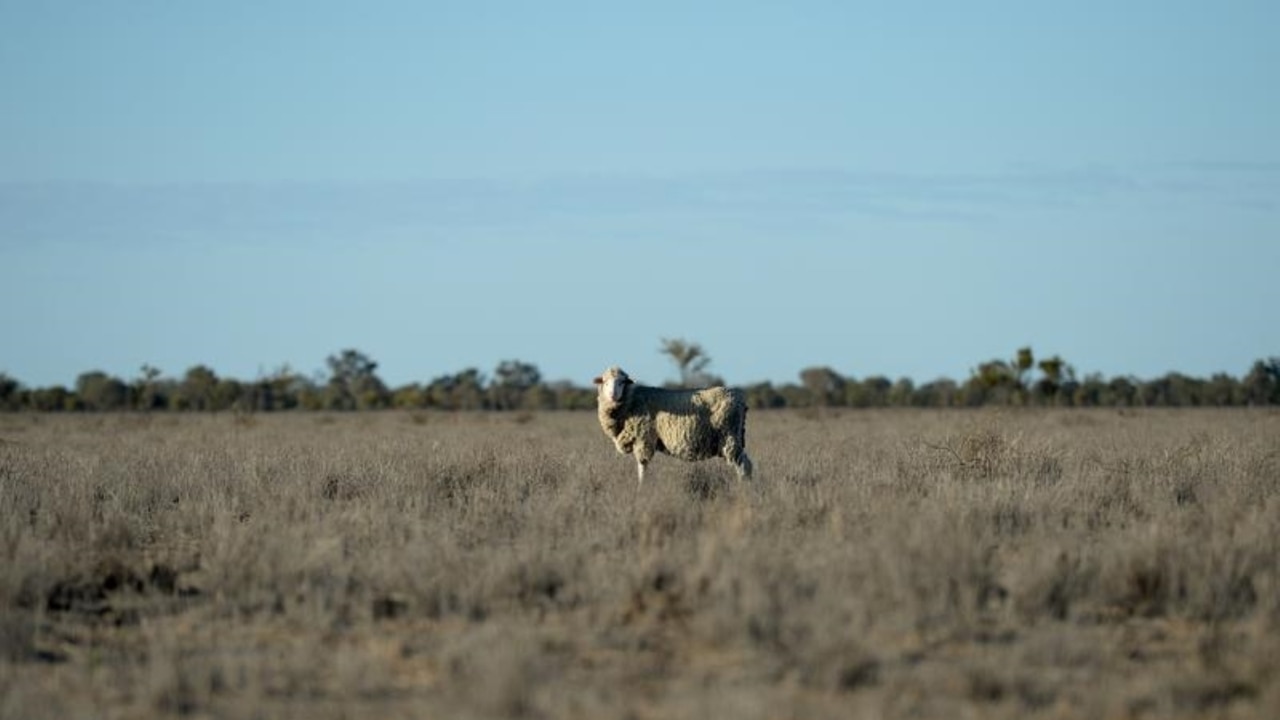 Dry conditions dent farmer confidence