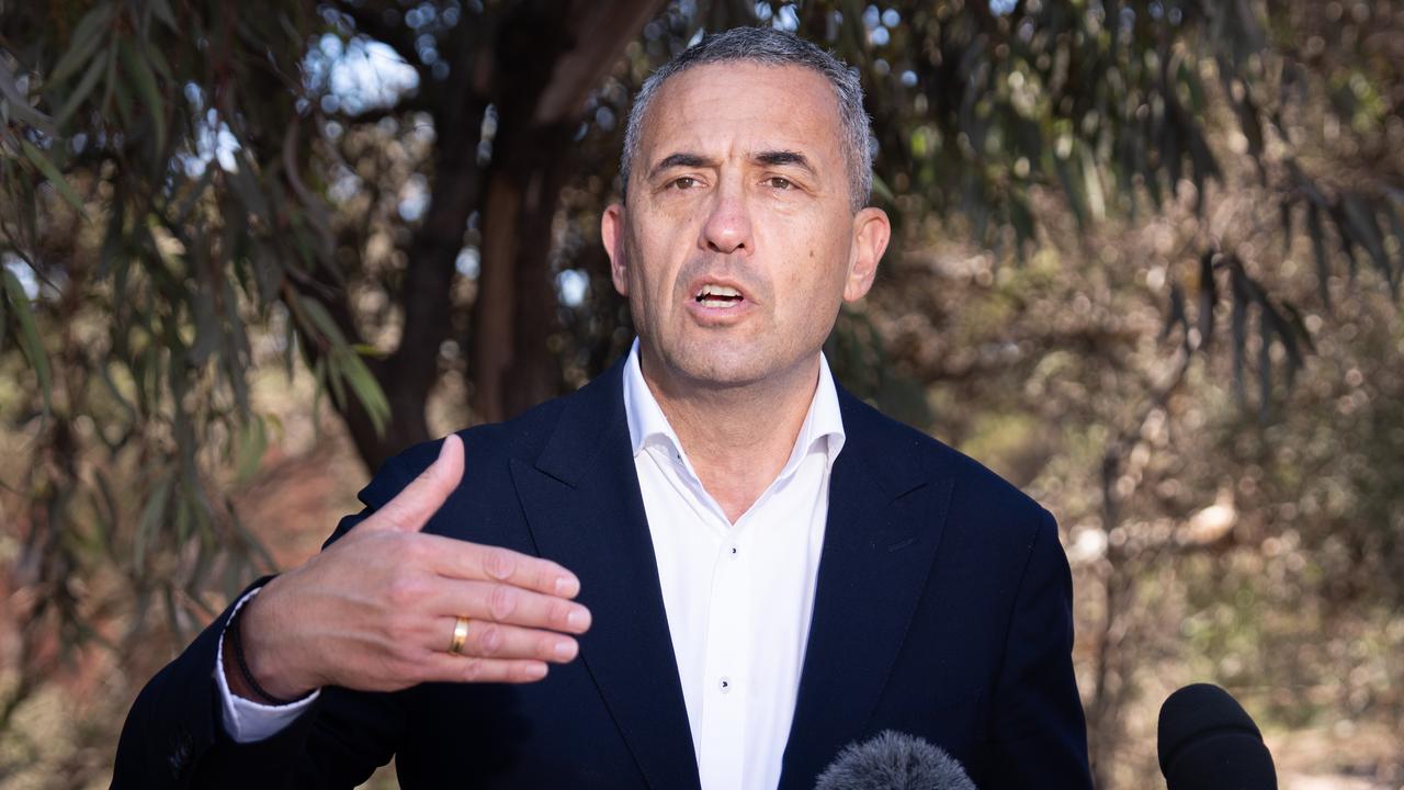 MP Tom Koutsantonis said locals had been calling for upgrades for a long time.. Picture: NewsWire / Tim Joy
