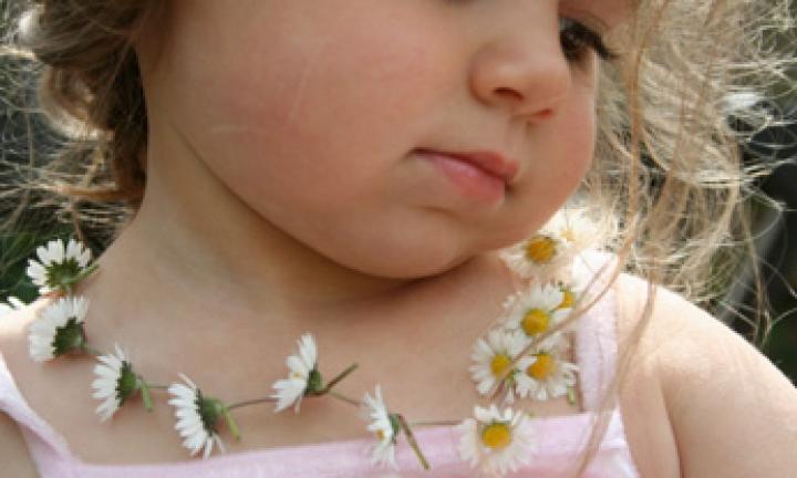 Daisy Chains