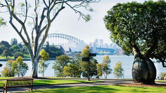 The Royal Botanical Gardens is blissful during the day. But at night, apparitions have appeared.