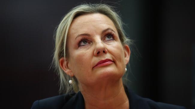 Liberal MP for Farrer Sussan Ley. Picture: Hollie Adams