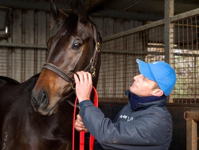 Adam Trinder’s conservative target for Jerilderie Letter is Tasmanian summer carnival but he’s “got a feeling he might be a bit better than Tassie carnival grade”. Picture: Mark Dadswell