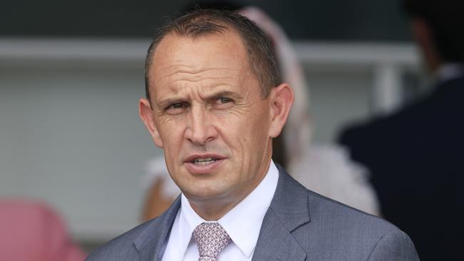 Chris Waller is confident the pressure of the Cox Plate will suit Verry Elleegant. Picture: Getty Images