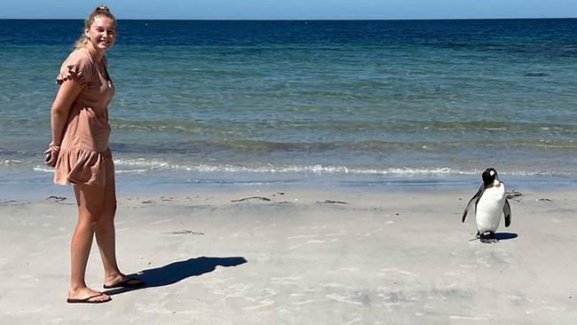 Brodie Cowen from Dubbo, NSW with a king penguin on Burns Beach at Port Neill on Eyre Peninsula. Picture: Brodie Cowen