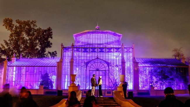 The Palm House, Illuminate Light Cycles. Picture Matt Turner.