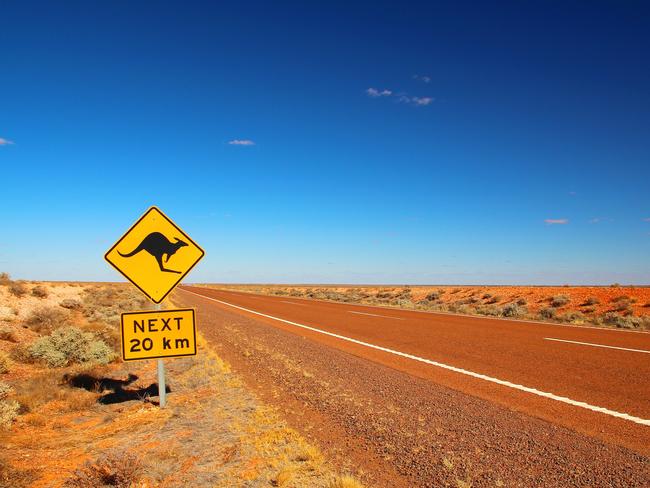 Australia’s first ever kangaroo insurance cover has been introduced for drivers who face the dangerous risk of collision.