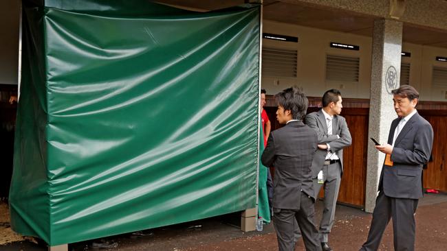 Connections of the favourite Admire Rakti after the horse broke down and died shortly after the 2014 Melbourne Cup.