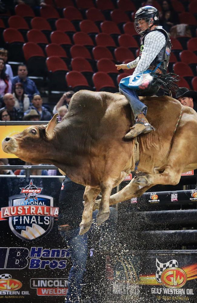 Cody Heffernan can hag on tight, no bull... Picture: Mark Evans