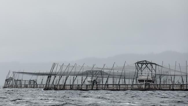 Salmon pens in Macquarie Harbour on the West Coast. Picture courtesy of the Bob Brown Foundation.