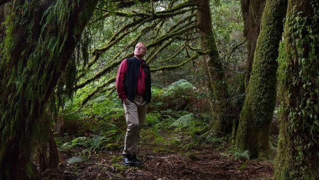 Vica Bayley of the Wilderness Society in the Upper Florentine forest in Tasmania’s Wilderness World Heritage area. Picture: Peter Mathew