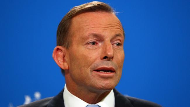 Tony Abbott reportedly told Cory Bernardi he hasn't given up hope of leading Liberal Party      