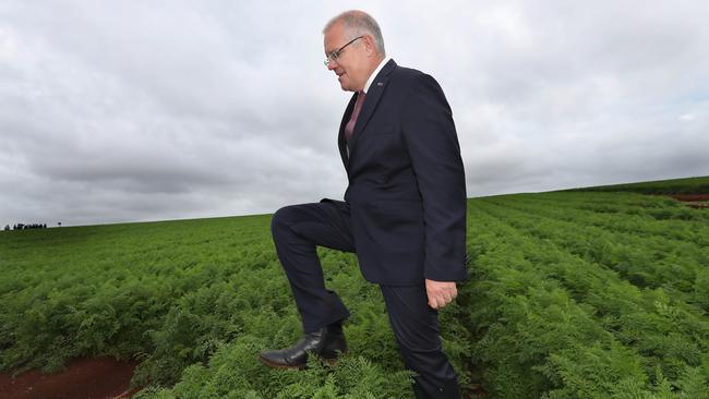 Scott Morrison in Davenport. Picture: Gary Ramage