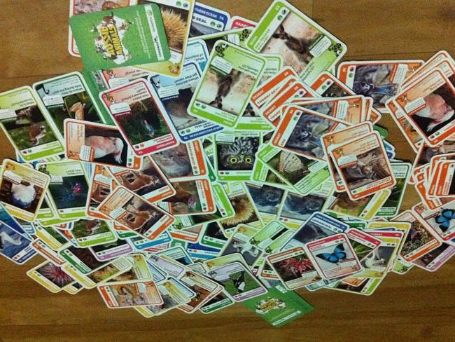 More Woolies card craze torment | news.com.au — Australia's More Woolies card craze torment | news.com.au — Australia's