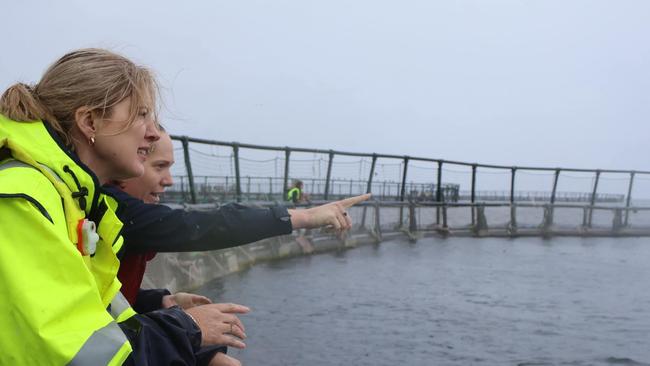 Agriculture and Fisheries Minister Julie Collins, the most senior federal Labor MP in Tasmania, visits the Huon salmon farm on Tuesday. Picture: Facebook