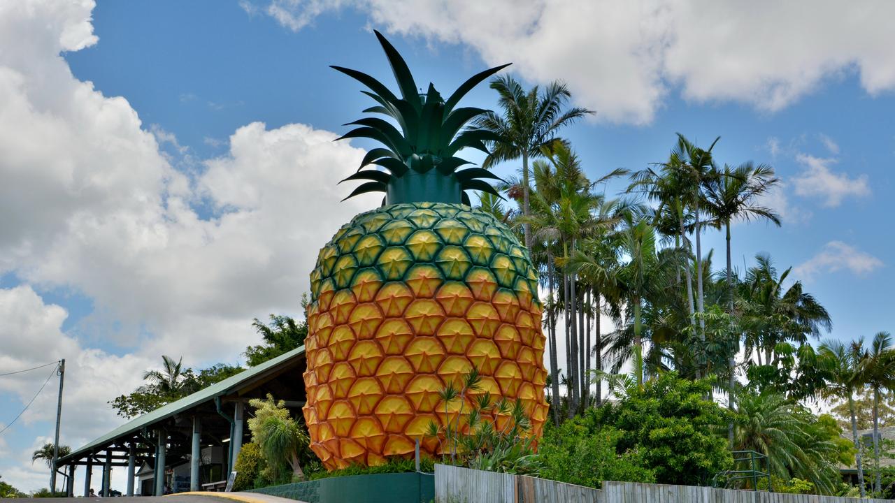 The Big Pineapple is set to reopen next week-. Picture - file.