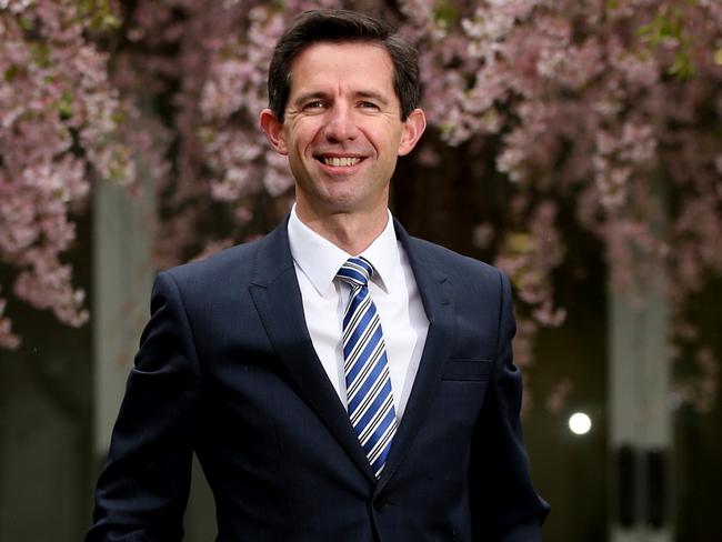 Federal Education Minister Simon Birmingham has fast-tracked the focus on phonics.