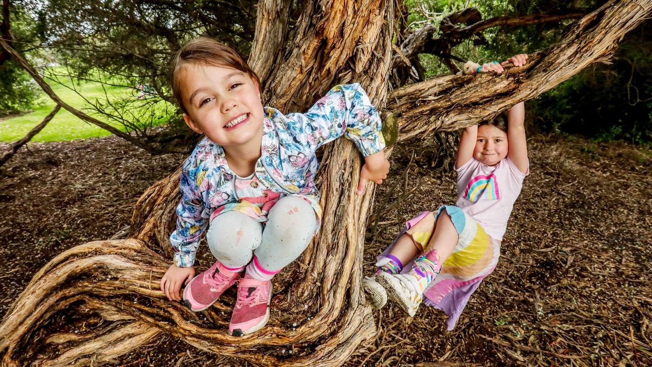 Yumi and Coco enjoying climbing trees in their local parks. Picture: Tim Carrafa