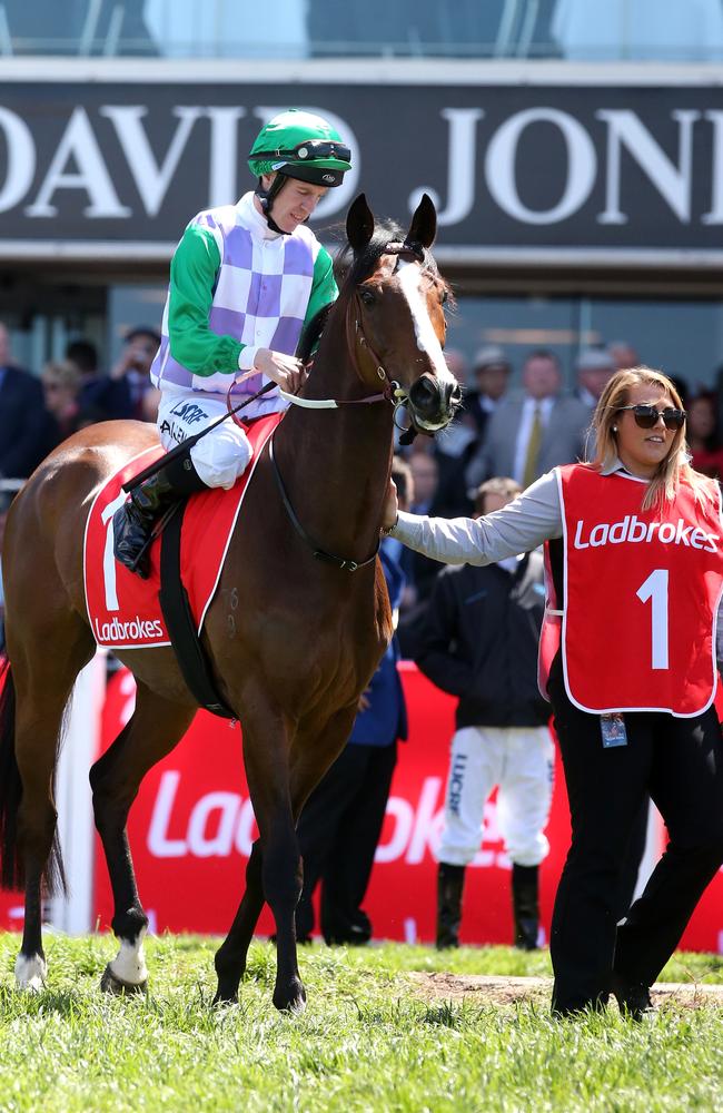 Last time? Prince Of Penzance is led out on to the course proper. Picture: Mark Dadswell