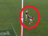 Skipper loses his mind at rookie teammate