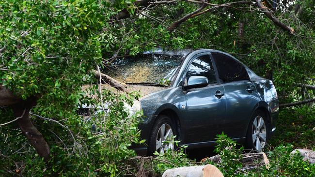 A large tree at Mundingburra state primary school has been knocked over during a storm this morning falling on parked cars. Picture: Zak Simmonds
