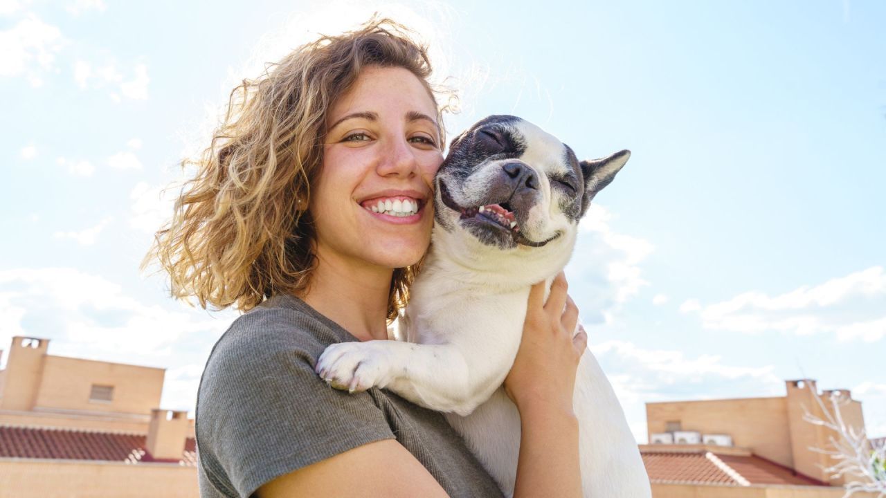 There’s evidence that shows a drop in cortisol in people who spend as little as five minutes with a dog. Image: iStock