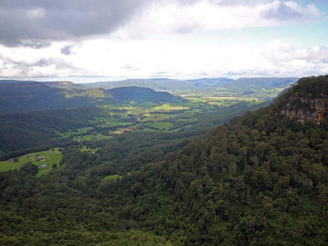 Sunken Forest: Discover the eerie magic of Southern Highlands’ secret ...