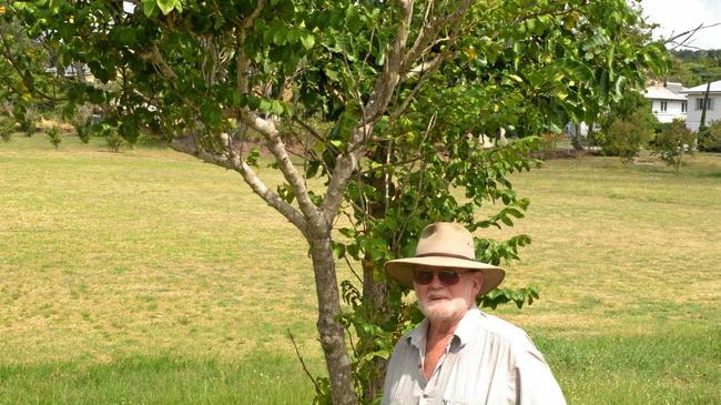 Mr Cranston near one of the tulip trees. Picture: Jann Houley