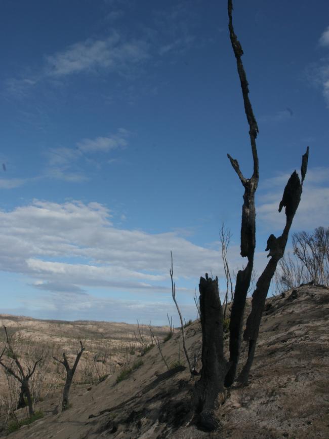 June 2020 Snake Lagoon. Picture: Flinders University.