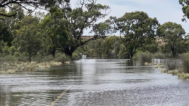 South Punyelroo Road at Punyelroo, about 5km downstream from Swan Reach, on Saturday, December 4. Picture: Facebook/Rick Moran