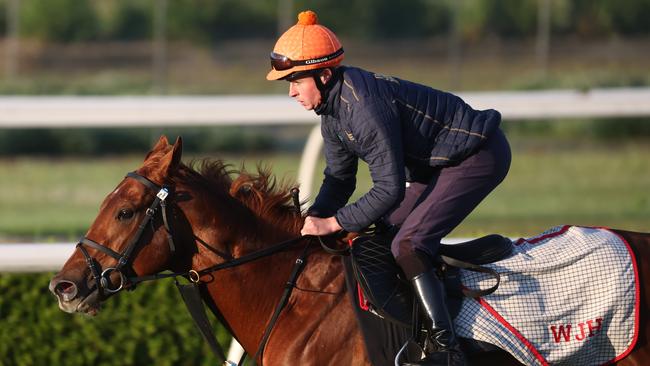 The William Haggas-trained Lake Forest works at Canterbury ahead of Saturday’s Golden Eagle. Picture: Rohan Kelly