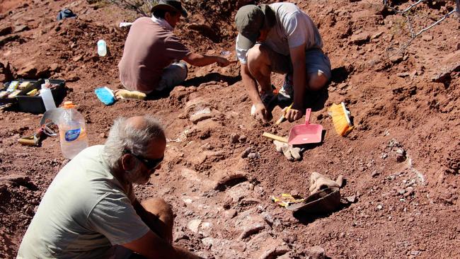 Palaeontologists excavate the 98 million-year-old fossils in southwest Argentina. Picture: AFP