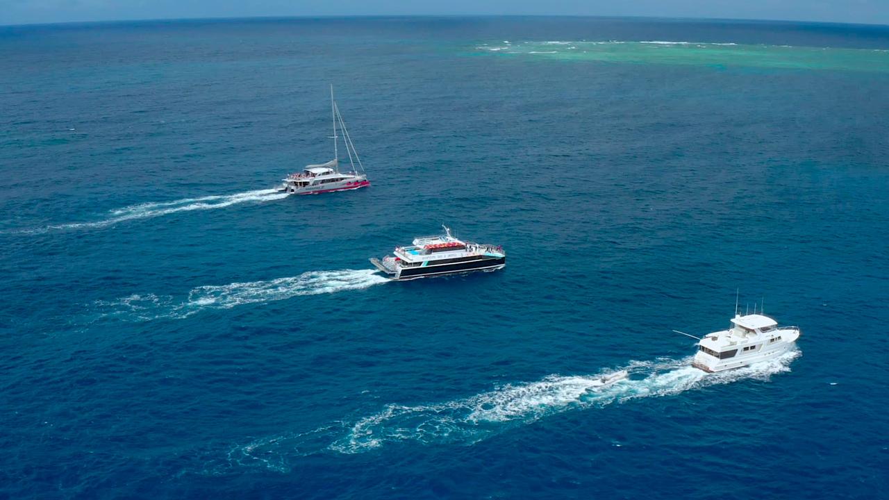 Dreamtime Dive and Snorkel, Passions of Paradise and Aroona Luxury Boat Charters arrive at Milln Reef, Queensland to kick off the Great Reef Census. Picture: Citizens of the Great Barrier Reef