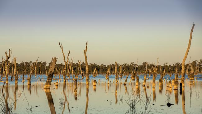A scene from Lake of Scars
